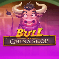 Bull in a China Shop thumbnail
