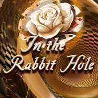 In The Rabbit Hole thumbnail